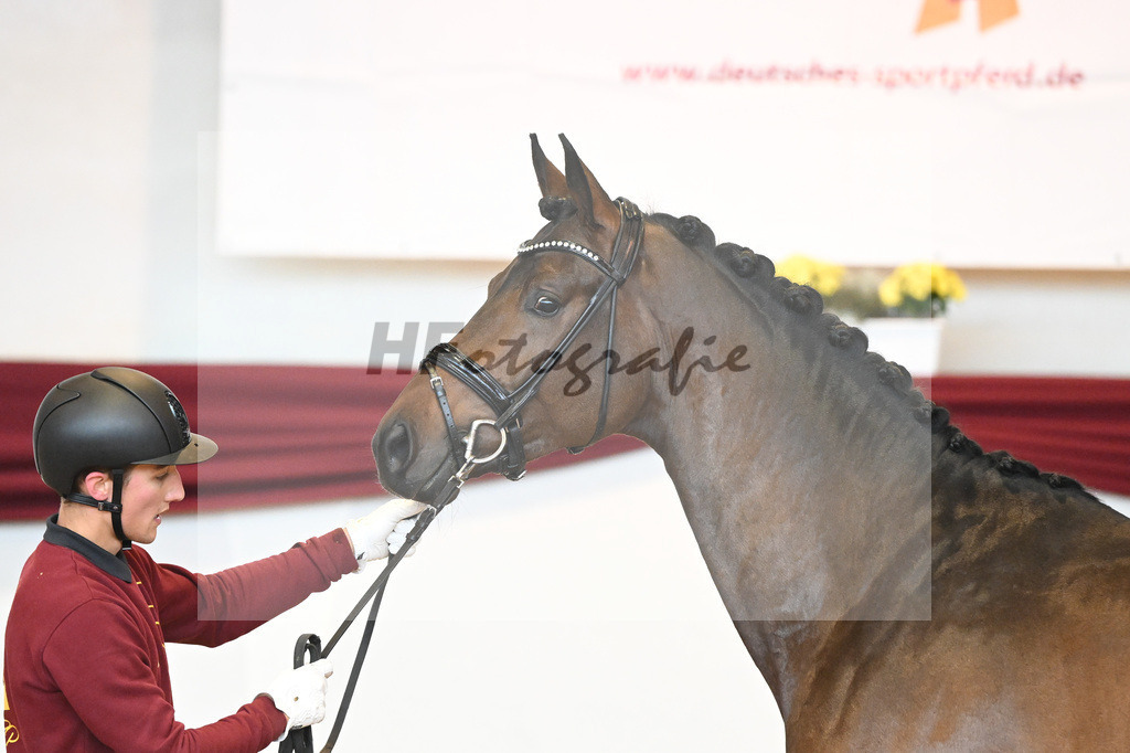 Kat-Nr. 38 v. Jovian_Limbecker_66220496 | hf-fotografie - Realisiert mit Pictrs.com