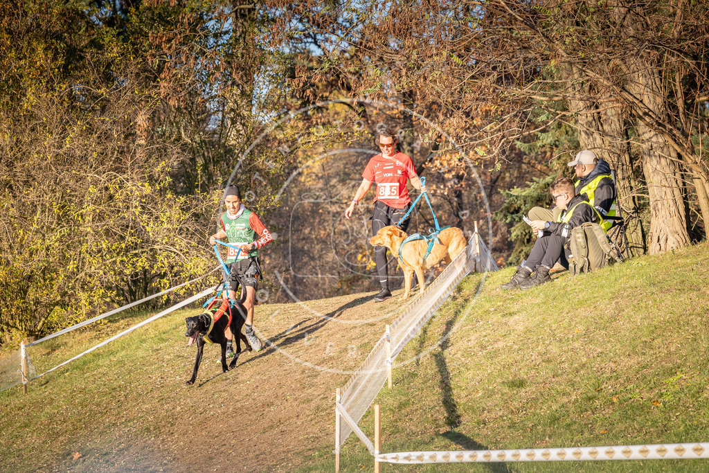 CaniXpix_0L8A0779 | Hundefotografie, Tierfotograf, Pfotenfotografie, Fotoshooting Hund, Hunde Portrait, Hundesport, Hundeportraits, Heideshooting, Hunde, Sportfotograf, Hundefotograf, Turnierhundsport, THS,  - Realisiert mit Pictrs.com