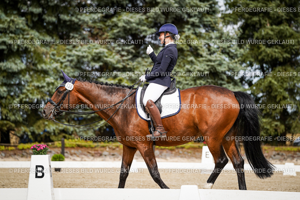 DSC05271 | Pferdegrafie