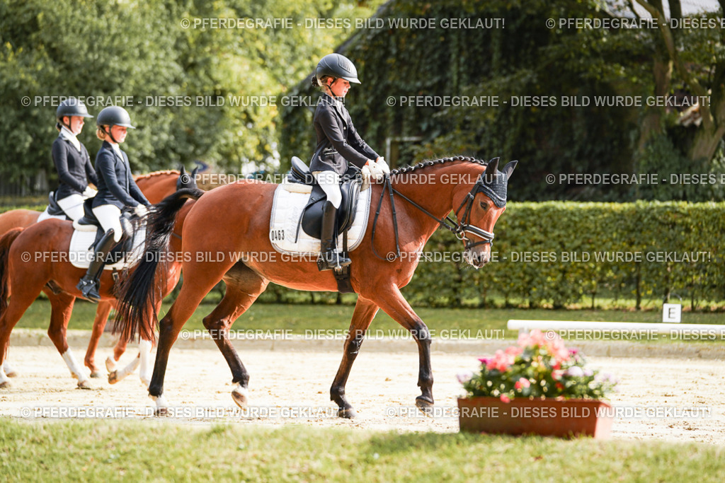 DSC03952 | Pferdegrafie