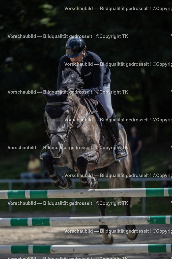 _D5A1348 | Emotionale Pferde- & People-Fotografie rund um Heidelberg, Leimen & Umgebung. Natürliche Fotos von Pferd, Mensch & Familie. Jetzt Termin sichern!