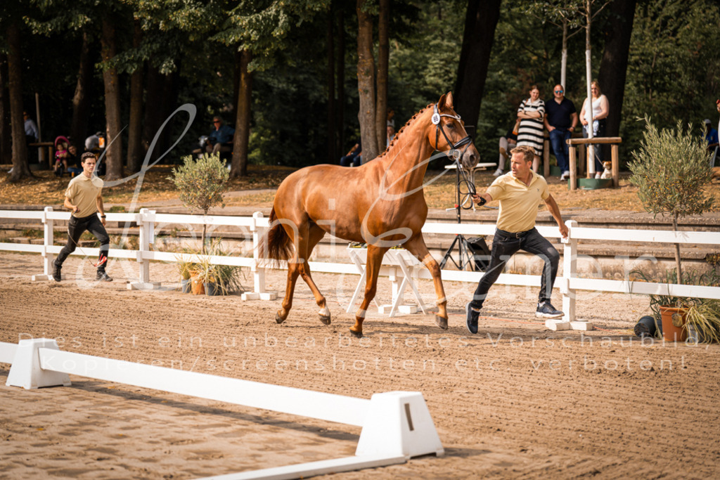 FrER00024 | Leoni Ertmer Photography - Realisiert mit Pictrs.com