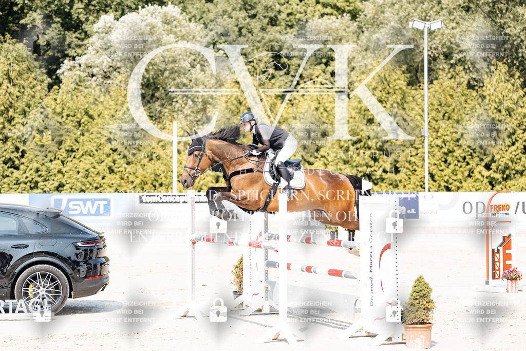 CK901756 | Turnierfotografie Pferdefotografie Trier Rheinland-Pfalz Pferdesport Reitsport Tierfotografie Sportfotografie Pferdevideo Pferdevideografie Equestrianvideography equestrianphotography  - Realisiert mit Pictrs.com