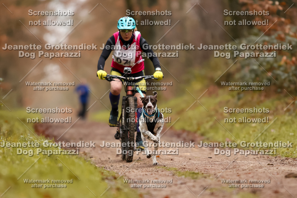 Dog Paparazzi - Speedhunter Mannheim  2025-19 | Dog Paparazzi Jeanette Grottendiek Fotografie & Videografie