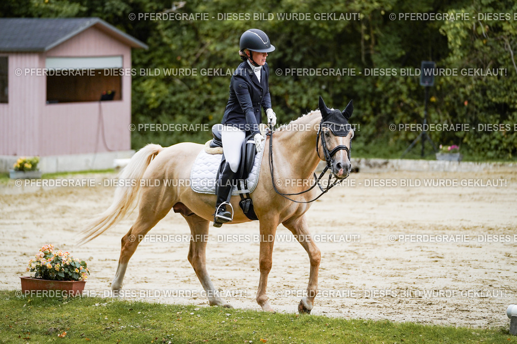 DSC09062 | Pferdegrafie