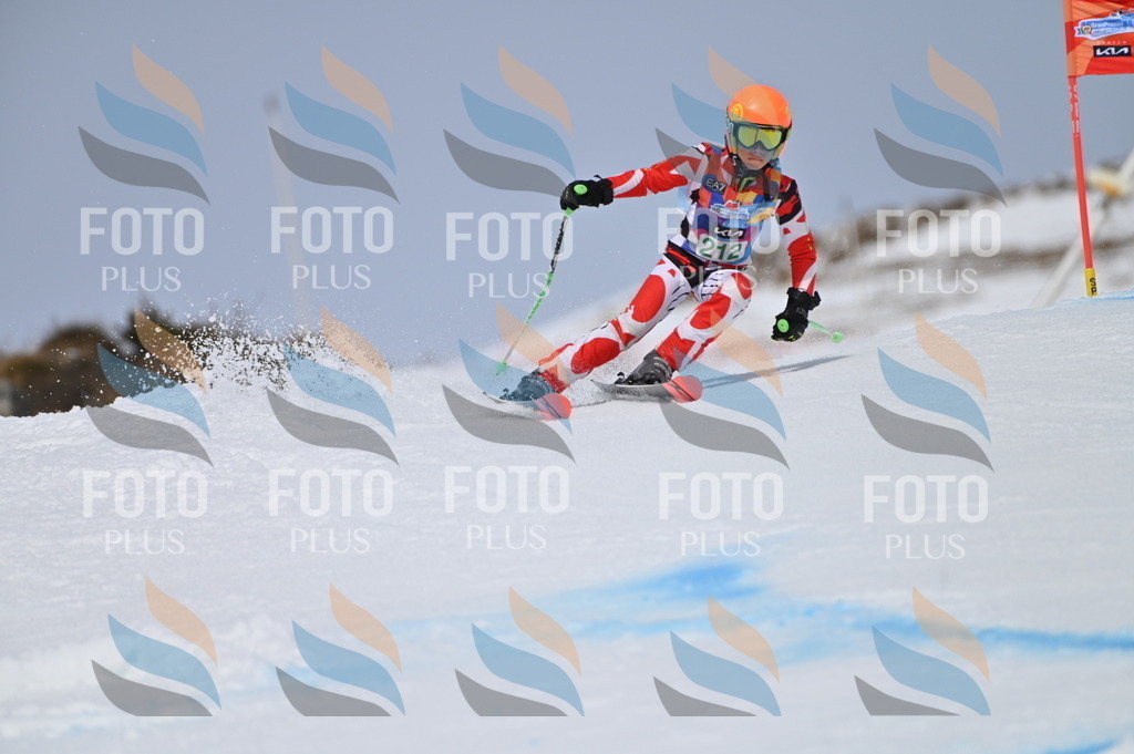 BGV_4101 | holidayphoto