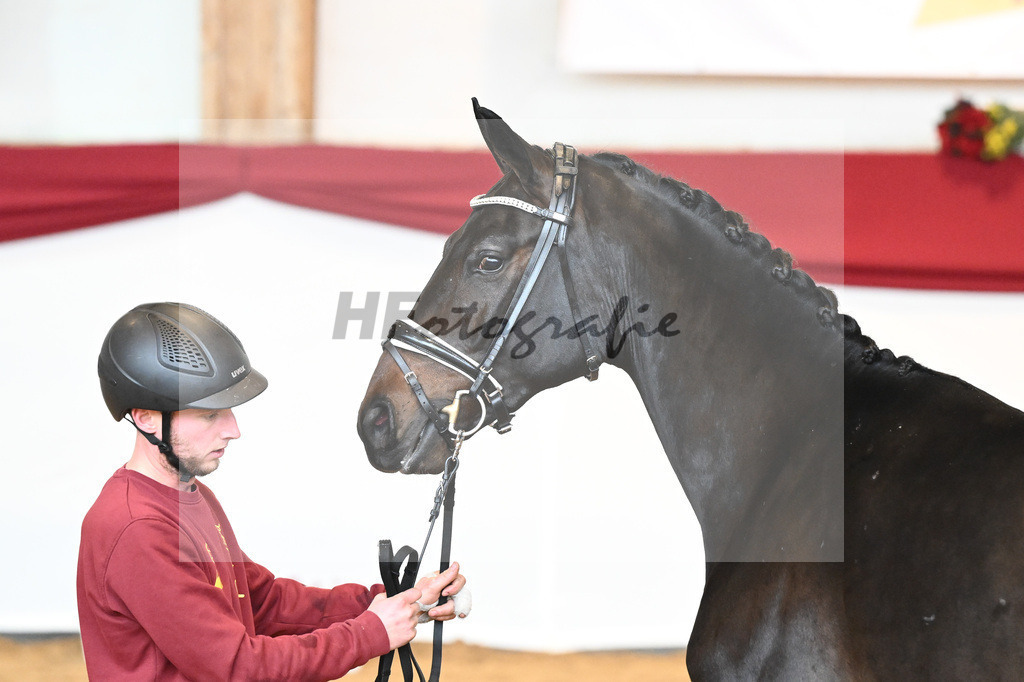 Kat-Nr. 44 Quaterback x Desperados_Ullmann_43230462 | hf-fotografie - Realisiert mit Pictrs.com