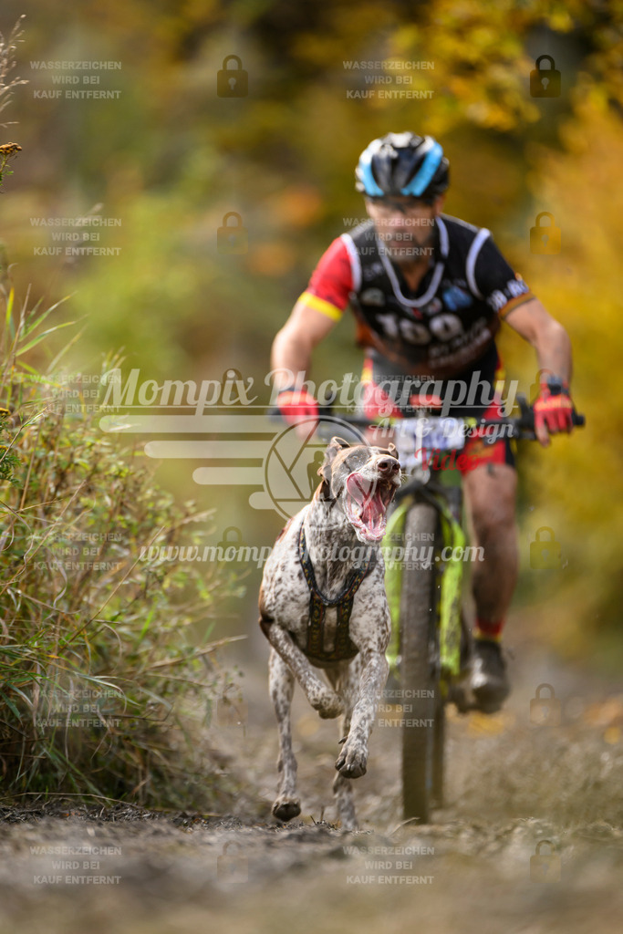 MompixPhotography_ICF_WC_2024_SA_Bike_-277 | PayLife