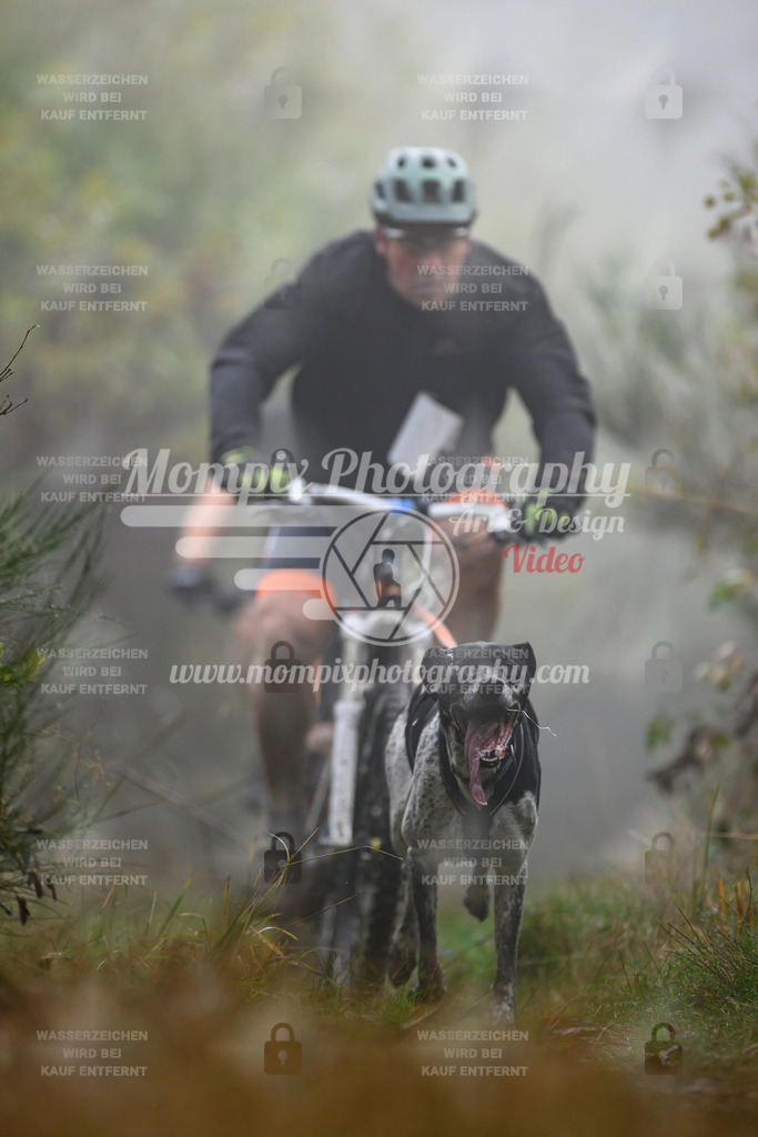 MompixPhotography_20TSB_E4_Bike-123 | PayLife