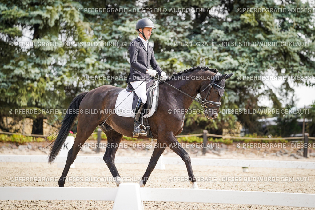 DSC00069 | Pferdegrafie