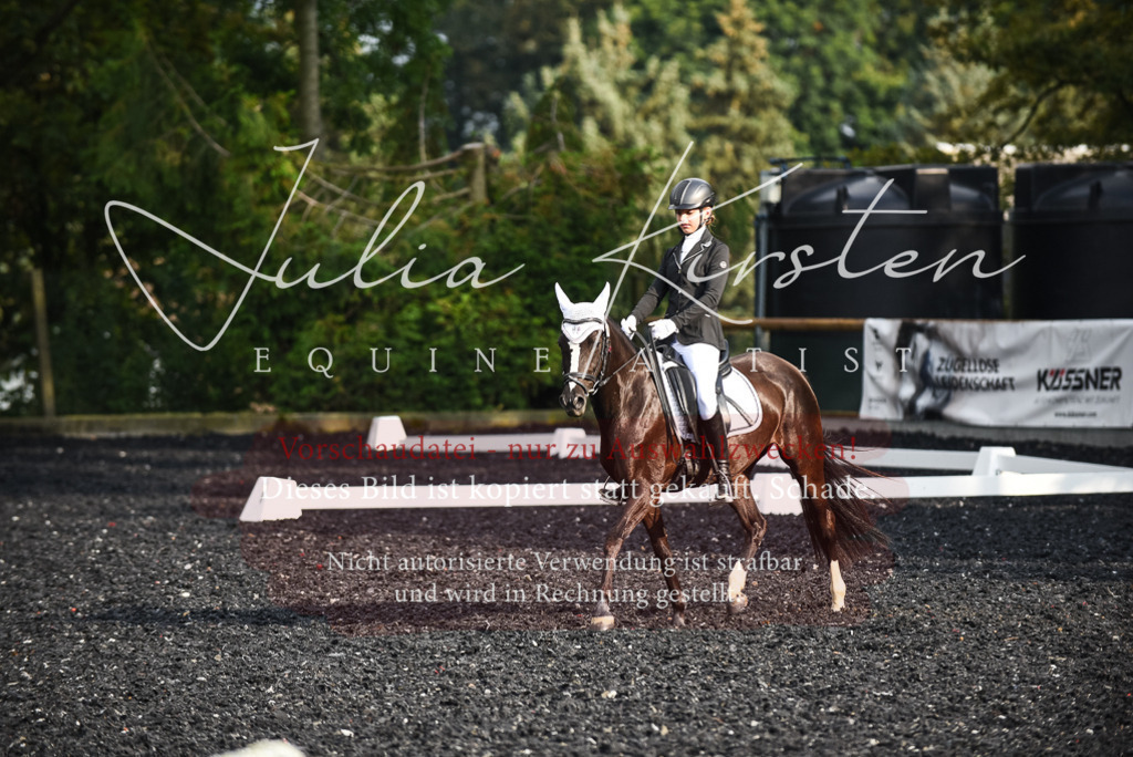 DSC_3401 | Pferde- und Turnierfotografie in Westsachsen. Pferdeportraits, Auftragszeichnungen und intuitive Kunst.