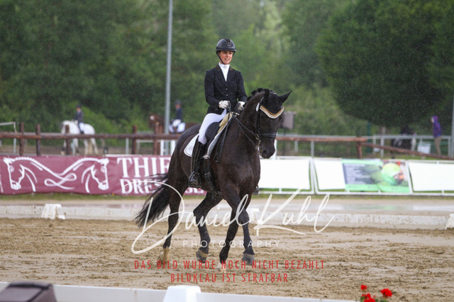 DKP40807 | Turniersportfotografie; Pferdefotografie; Dressurfotografie