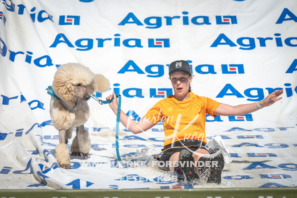 1447_ZZ95908 | kk-dogfotos