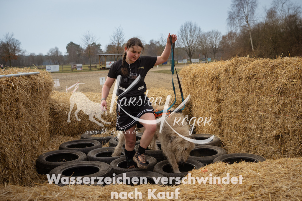 1156_ZZ95613 | kk-dogfotos