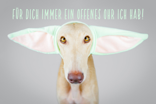 Ori hat immer ein offenes Ohr | "Für dich immer ein offenes Ohr ich hab!"