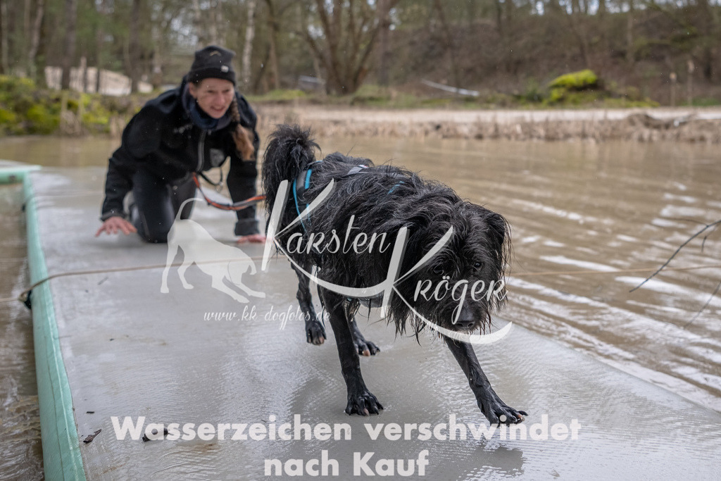 0935_ZZ90862-Bearbeitet | kk-dogfotos