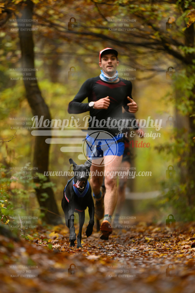 MompixPhotography_CD7S_DI_CCL-20 | mompixphotography