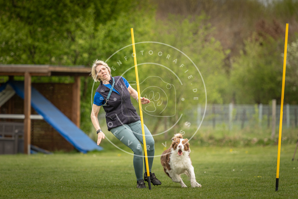 Pfotenfotografie_DV3A7426 | Hundefotografie, Tierfotograf, Pfotenfotografie, Fotoshooting Hund, Hunde Portrait, Hundesport, Hundeportraits, Heideshooting, Hunde, Sportfotograf, Hundefotograf, Turnierhundsport, THS,  - Realisiert mit Pictrs.com