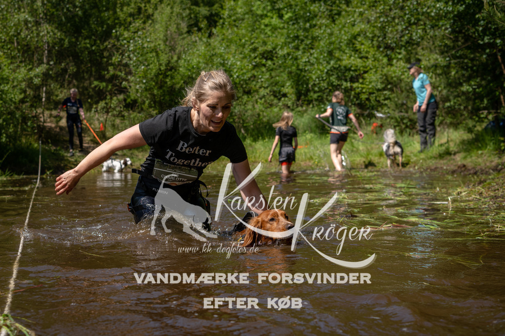 DK K990982141410 | kk-dogfotos