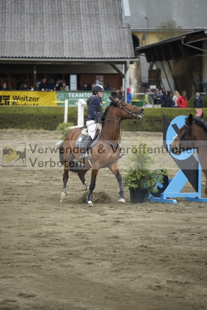_DSC7393 | equestrian-live-com