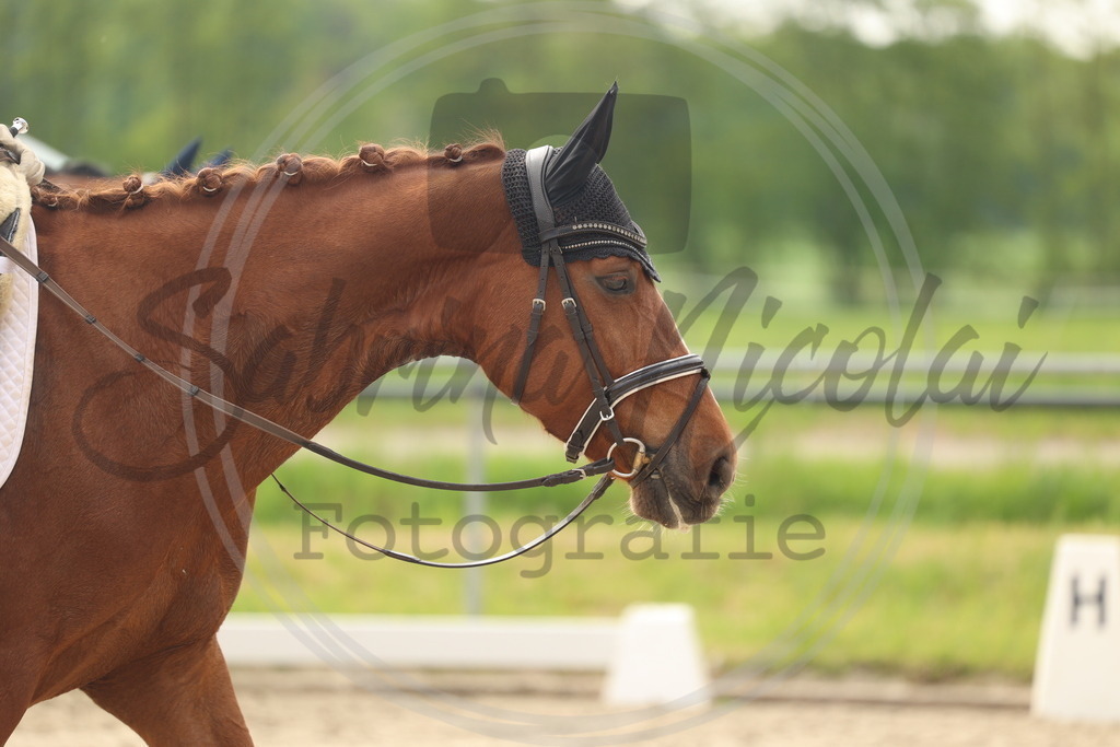 994A6288 | sabrinanicolaifotografie - Realisiert mit Pictrs.com