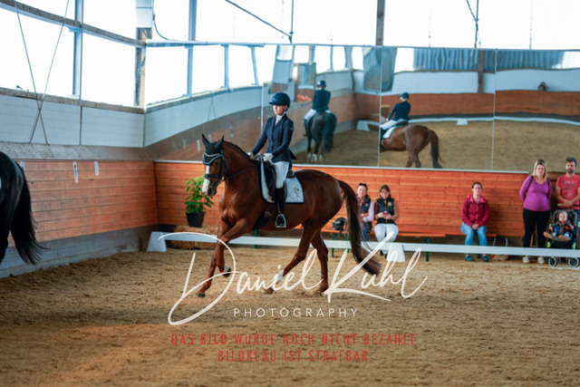 _62_5937 | Turniersportfotografie; Pferdefotografie; Dressurfotografie