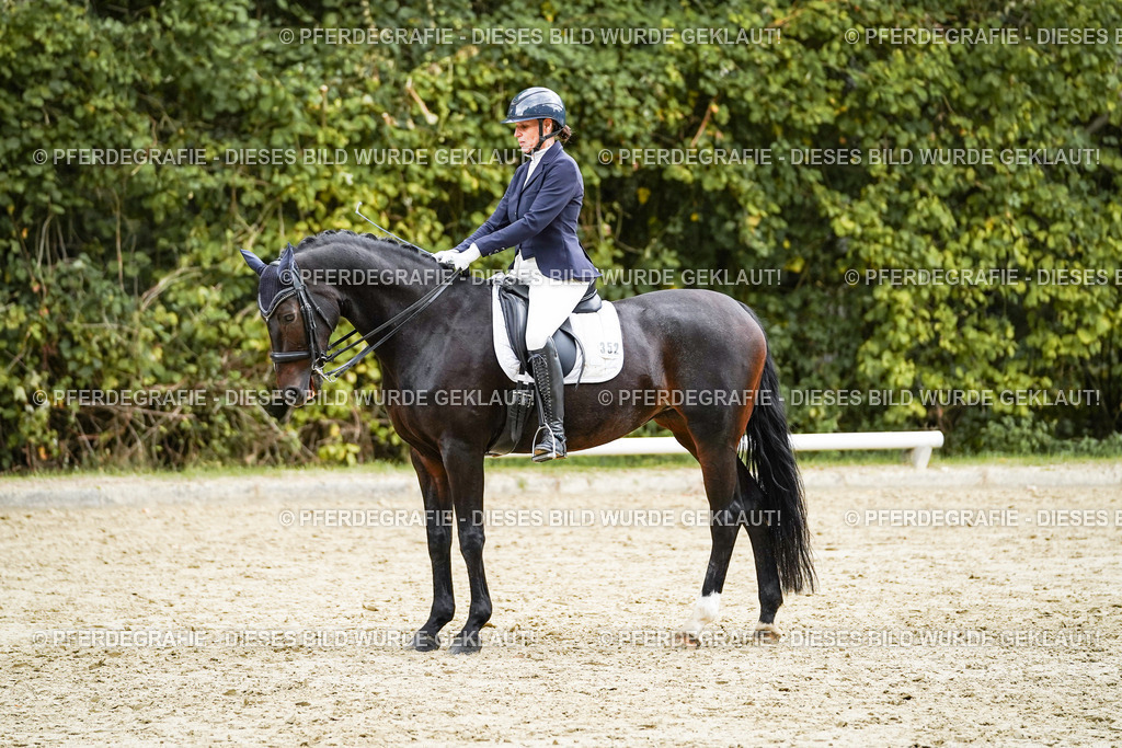 DSC06151 | Pferdegrafie