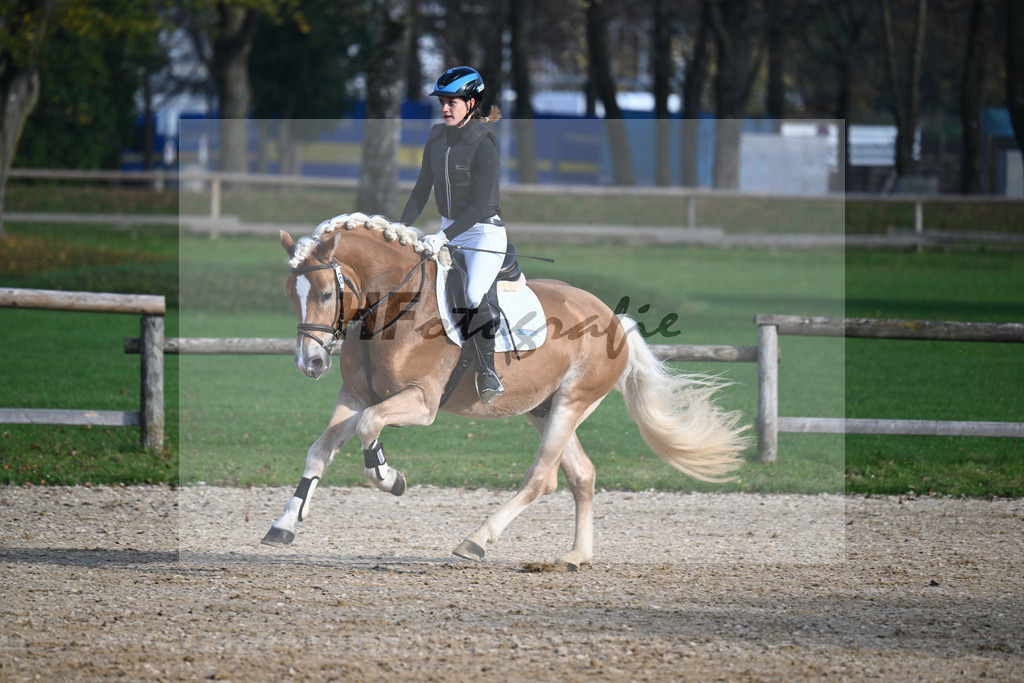 Kat-Nr. 6 Solero-D_Mahlknecht_44240900 | hf-fotografie - Realisiert mit Pictrs.com