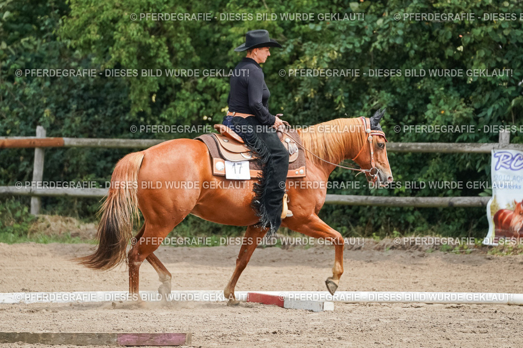 DSC06023 | Pferdegrafie