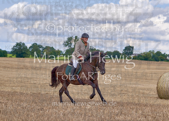 08-23 Bredeneek Jagd_MCH8911_Marina Hewig | Fotografie, FotoArt, PferdesportArt, Pferdesportfotografie, Landschaftsfotografie, Reisefotografie, Reise, Pferde - Realisiert mit Pictrs.com