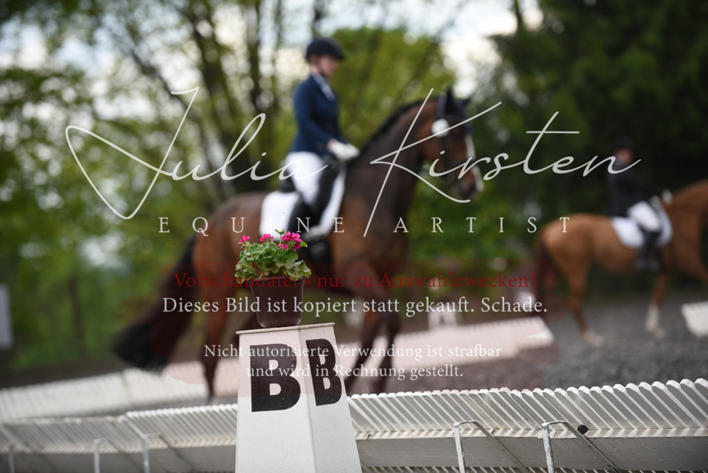 20230513_JK-Röhrsdorf-15-134 | Pferde- und Turnierfotografie in Westsachsen. Pferdeportraits, Auftragszeichnungen und intuitive Kunst.