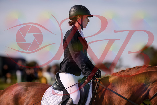 2026_10_03_Siefer-Hof_114019_Z81_82660408 | Professionelle Reitsport-, Turnier- und Eventfotografie von Robert Broda. Galerien mit ausgewählten und bearbeiteten Bildern direkt online ansehen und bestellen.