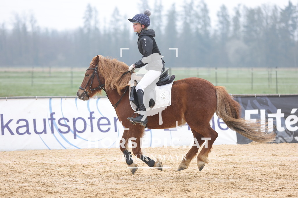 0P6A8651 | Willkommen bei Brunnmayr - Design & Fotografie – Ihrem Spezialisten für Reitturniere und Pferdeveranstaltungen in Oberösterreich, Salzburg und Bayern! Seit über 17 Jahren sind wir leidenschaftlich dabei.