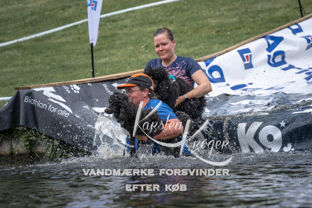 1145_ZZ93776 | kk-dogfotos