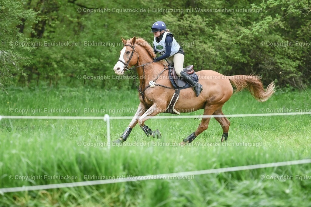 20230513_CCI2_Section2_Gelände_0063 | equistock