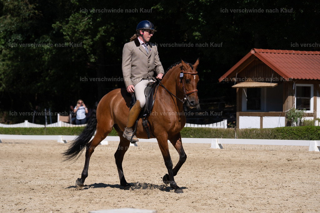 WS_DR_62_sinafilmart_IN04022 | working equitationturnier fotograf videograf stoibphotography marixx film working equitation deutschland reitsport turnierfotografie eventfotografie equestrian events