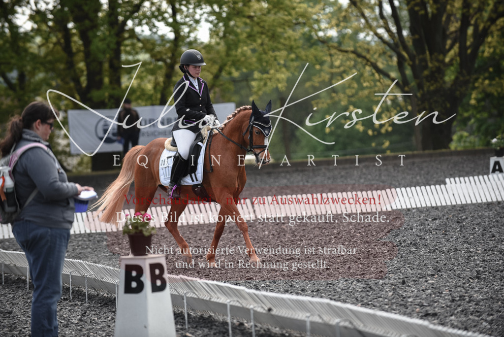 20230513_JK-Röhrsdorf-14-569 | Pferde- und Turnierfotografie in Westsachsen. Pferdeportraits, Auftragszeichnungen und intuitive Kunst.