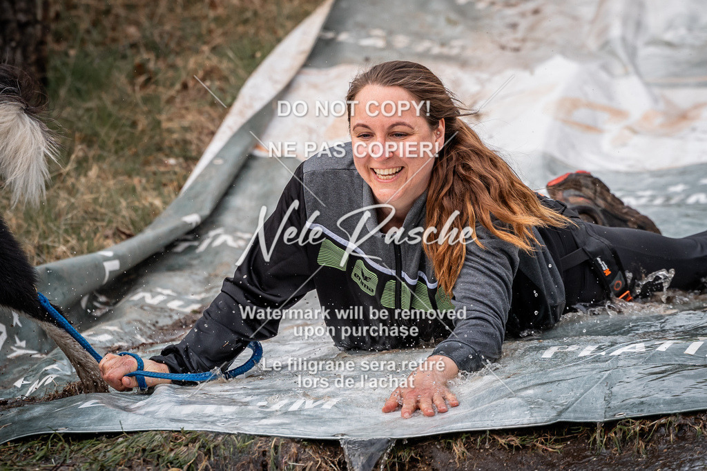 nelerasche_1330-1400_241 | nelerasche