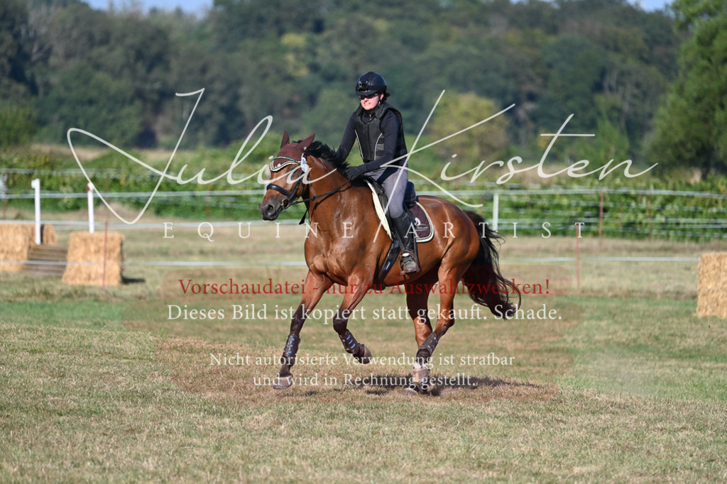 DSC_8983 | Pferde- und Turnierfotografie in Westsachsen. Pferdeportraits, Auftragszeichnungen und intuitive Kunst.