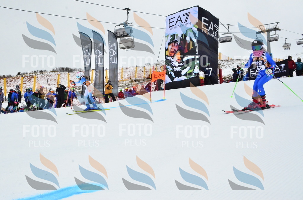 _ELE3171 | holidayphoto