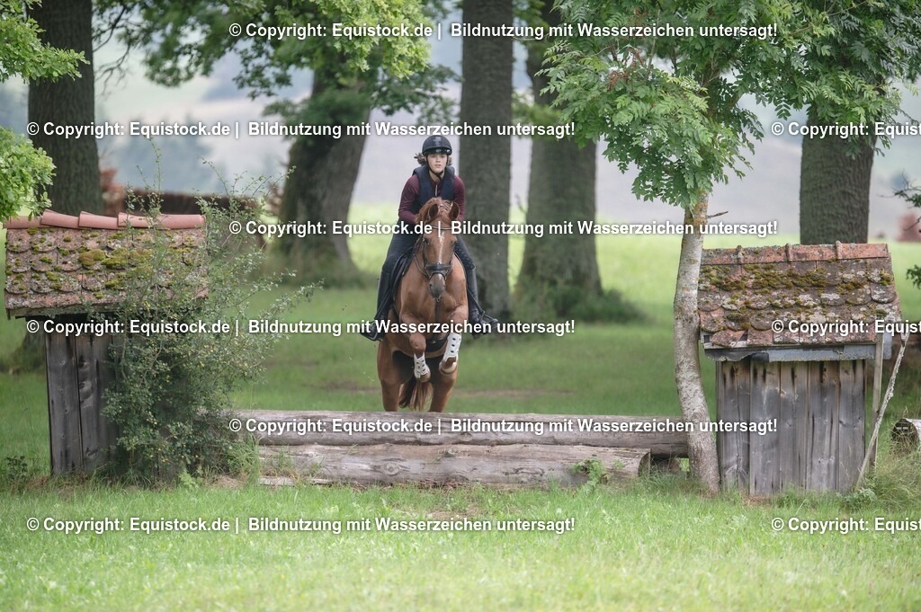 20250726_Vielseitigkeitslehrgang-Marbach_0172 | Foto: Thomas Hartig