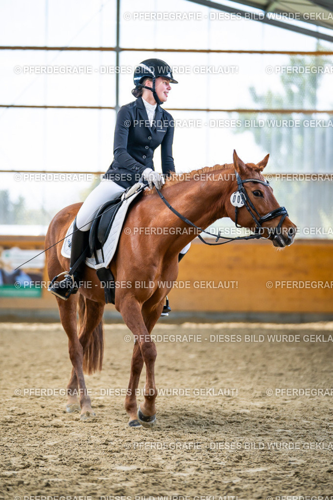 DSC05295 | Pferdegrafie