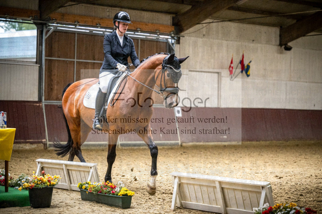 DOS_1135 | Reitturnier Lüdinghausen - Realisiert mit Pictrs.com