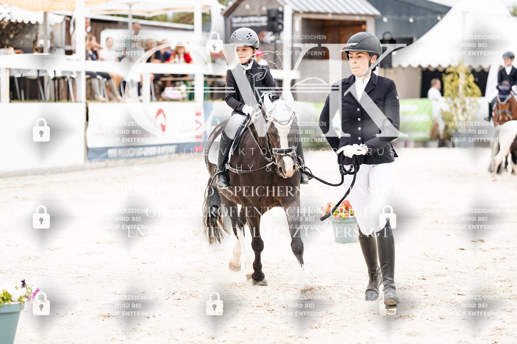 CK907407 | Turnierfotografie Pferdefotografie Trier Rheinland-Pfalz Pferdesport Reitsport Tierfotografie Sportfotografie Pferdevideo Pferdevideografie Equestrianvideography equestrianphotography  - Realisiert mit Pictrs.com