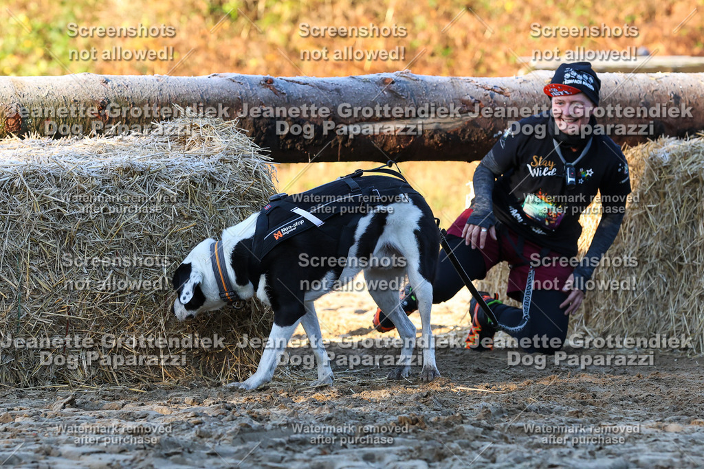 Dog Paparazzi - Strongdog 10-25-685 | Dog Paparazzi Jeanette Grottendiek Fotografie & Videografie - Realisiert mit Pictrs.com