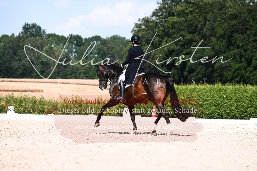 DSC_3358 | Pferde- und Turnierfotografie in Westsachsen. Pferdeportraits, Auftragszeichnungen und intuitive Kunst.
