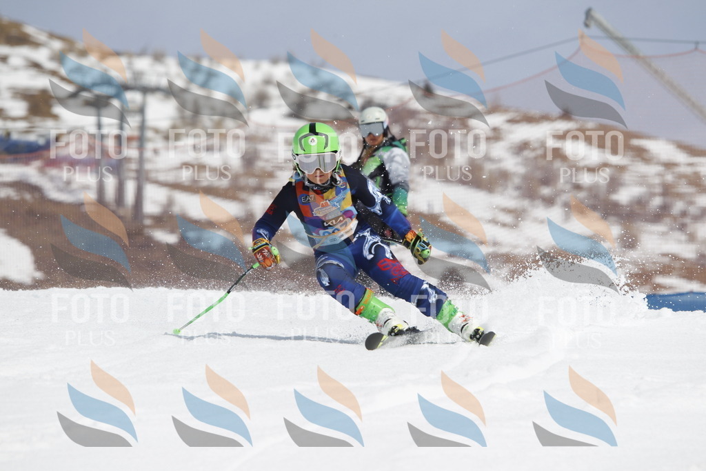 _U3G2168 | holidayphoto