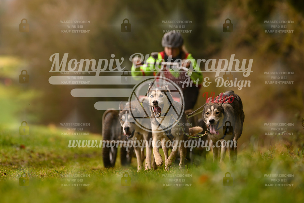 MompixPhotography_2SSTSSBW_2025_SO_Kart-16 | PayLife