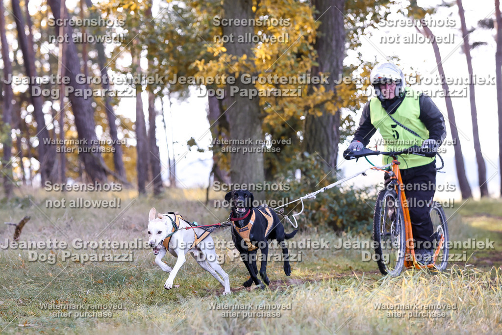Dog Paparazzi - Elsholz 25 -80 | Dog Paparazzi Jeanette Grottendiek Fotografie & Videografie - Realisiert mit Pictrs.com