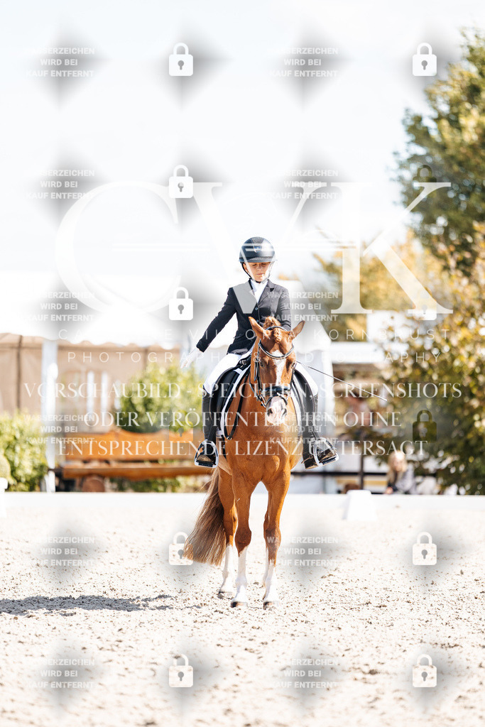 CK903124 | Turnierfotografie Pferdefotografie Trier Rheinland-Pfalz Pferdesport Reitsport Tierfotografie Sportfotografie Pferdevideo Pferdevideografie Equestrianvideography equestrianphotography  - Realisiert mit Pictrs.com